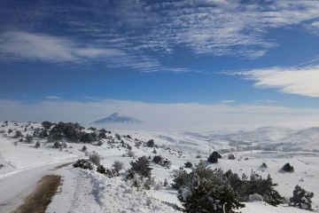 Sivas Çelik Konstrüksiyon Evler ve Çelik Villa Yapılar