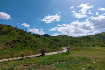 Şırnak Çelik Konstrüksiyon Evler ve Çelik Villa Yapılar
